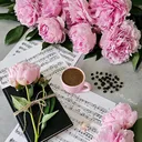 @alialvesh
