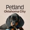 petlandoklahomacity