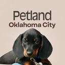 @petlandoklahomacity