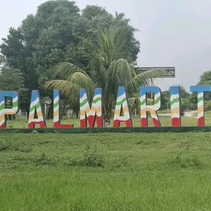 @palmaritoficial