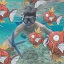 @poketripp
