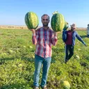 @halk.yesin