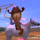 @assortedfowl3262