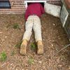 septicpross