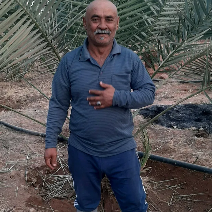 arabianold0