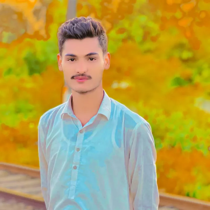 javedmalik.135