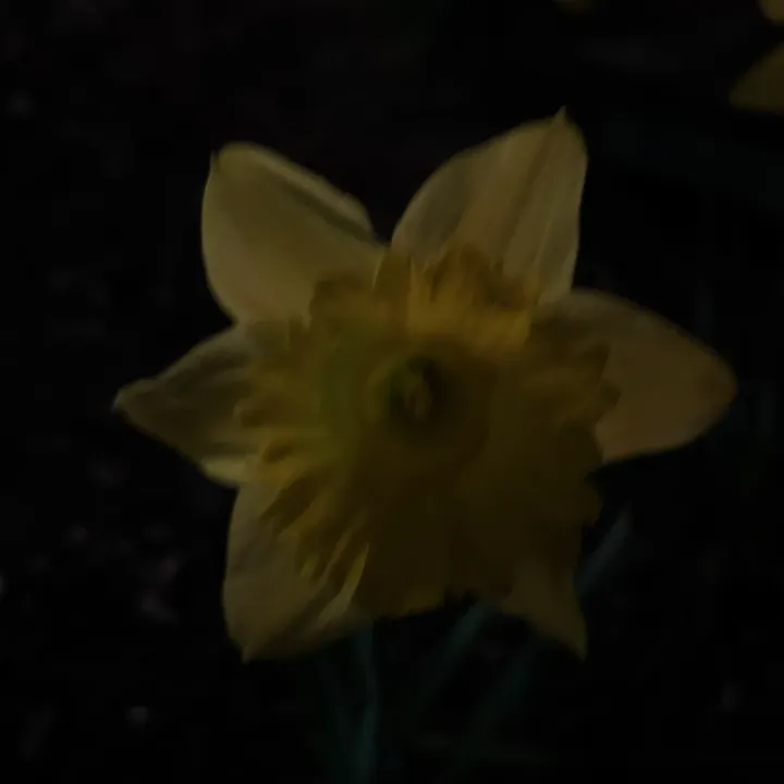 thisuserishot.1
