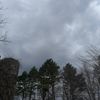 unknown.1_353