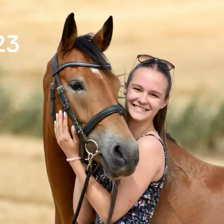 @ponyhausen_