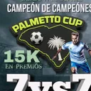 @palmetto.league