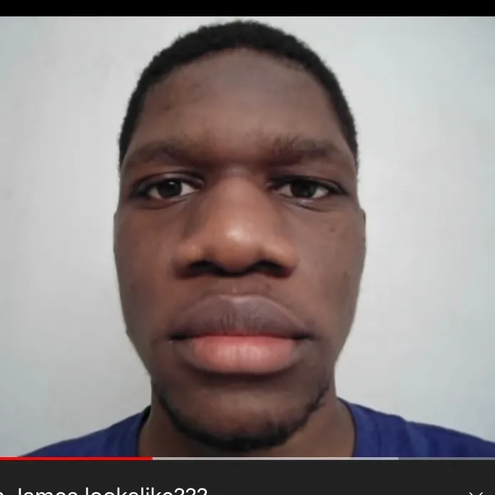 bongotok13