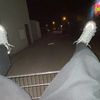 pitus._