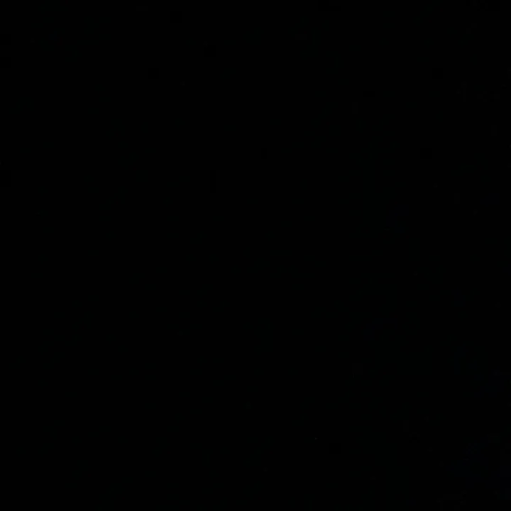 elodie7280