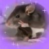 alittleblackrat