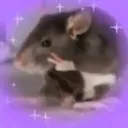 @alittleblackrat