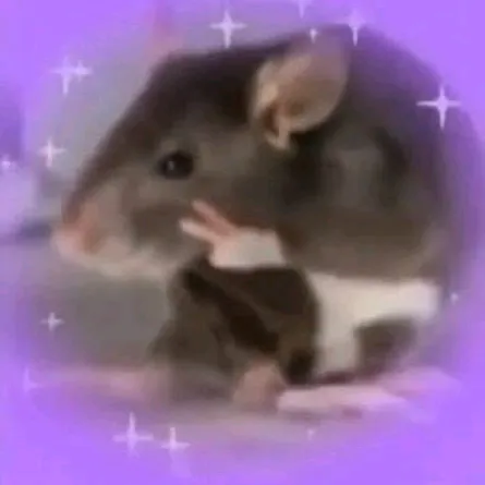 @alittleblackrat