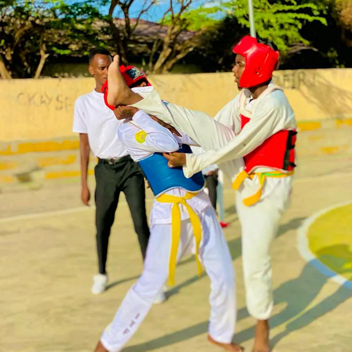 sakiteakwondo