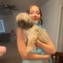 @riri.issocool