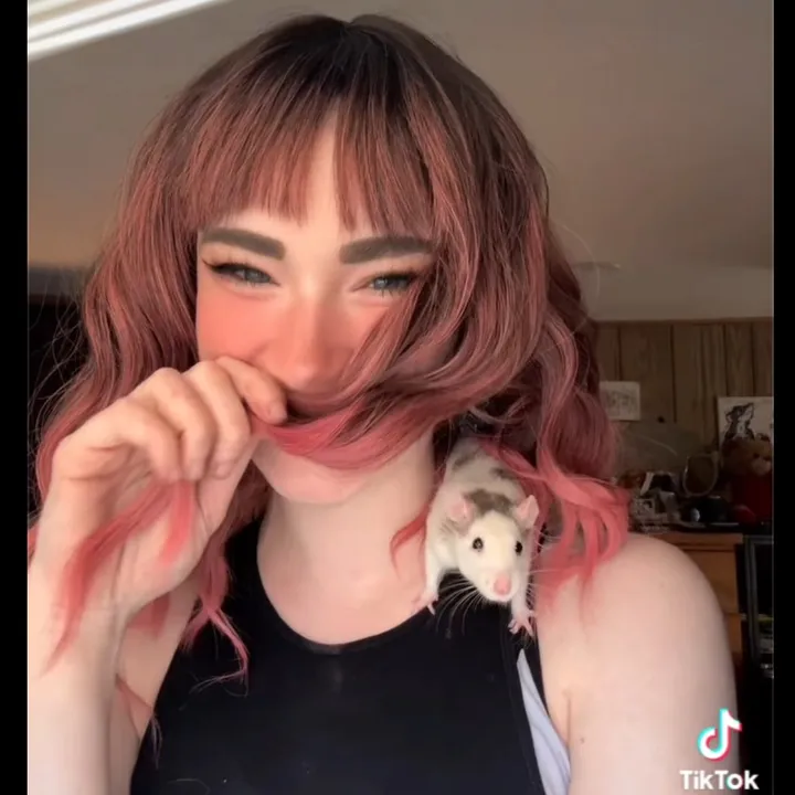 @lookatmyrodents