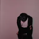 @_shotbygav