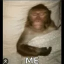 @stockbrendan