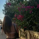 @harpsdancess
