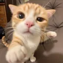 @edfw421
