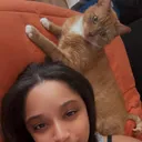 @reesilly