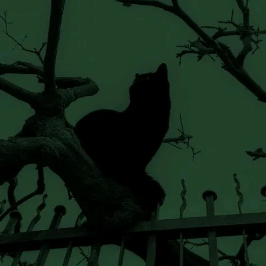 creepypastajack_1