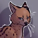 @shap3sh1ft3r