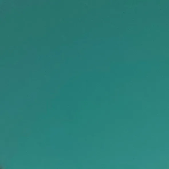 @welovessj