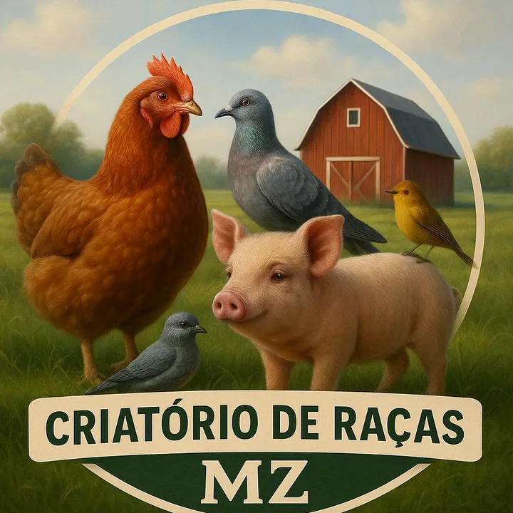 @criatrio.mz