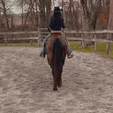 @katiewells661