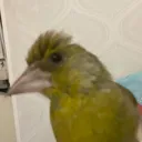 @just._.writingg