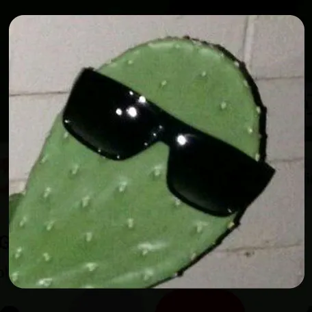 @www.crew.nt