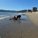 @adelina.dediu