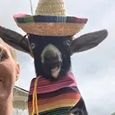 @._.sideofranch