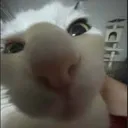@eierspalter300