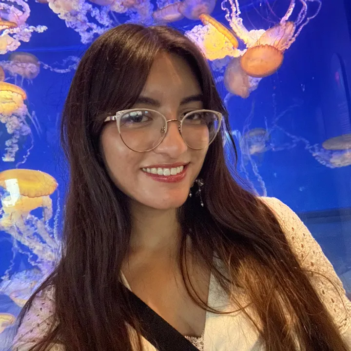 @asmrlizvideos