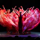 @delawaredancecomp