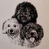 mhdogs