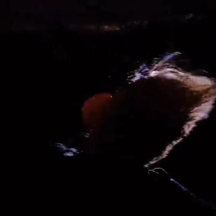 @that11thbitch