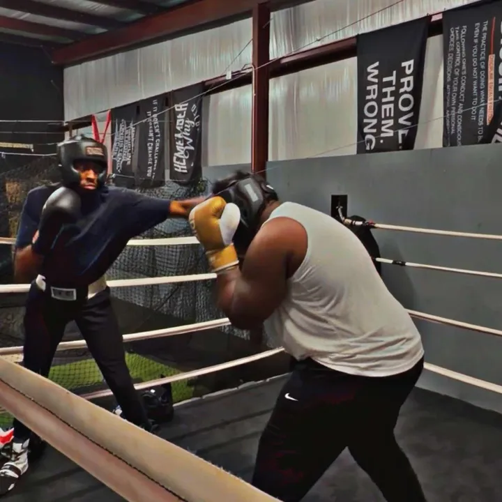 therealslinktheboxer