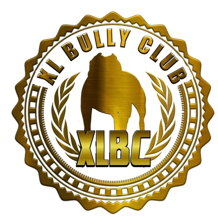 @xlbullyclub1