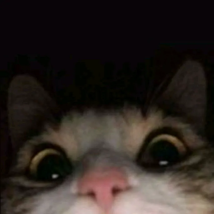 nattki5