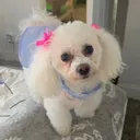 @negritany12
