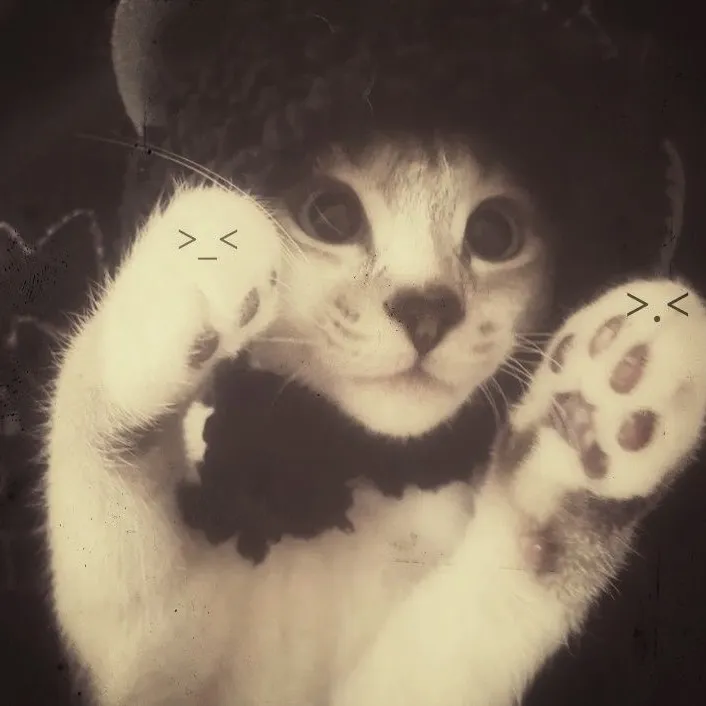 kittymi6ww_