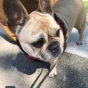 @les.aventures.denina