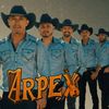 arpexoficial3