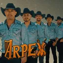 @arpexoficial3